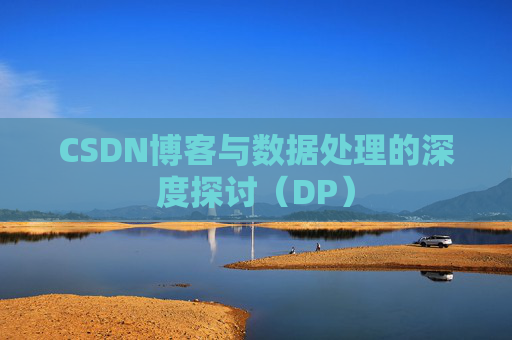 CSDN博客与数据处理的深度探讨（DP）